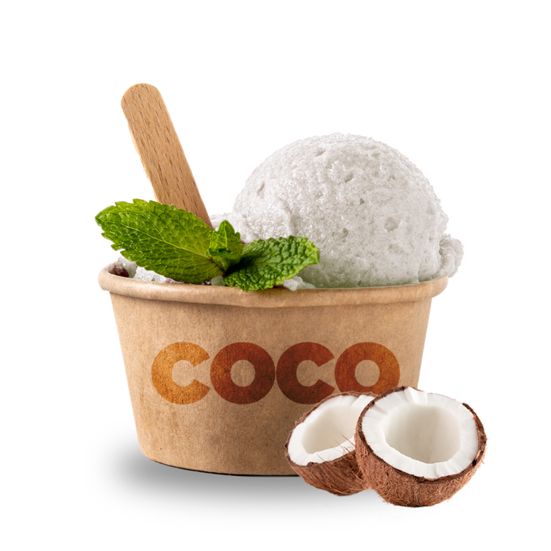SABORIZANTE COCO 1 KG