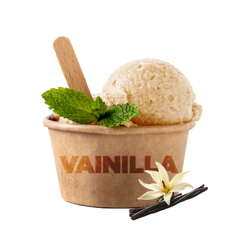 SABORIZANTE VAINILLA BLANCA 1 KG