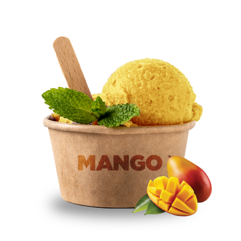 SABORIZANTE MANGO 1 KG